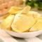freeze dried durian factory