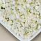 freeze dried asparagus factory